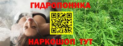 стаф Боровичи