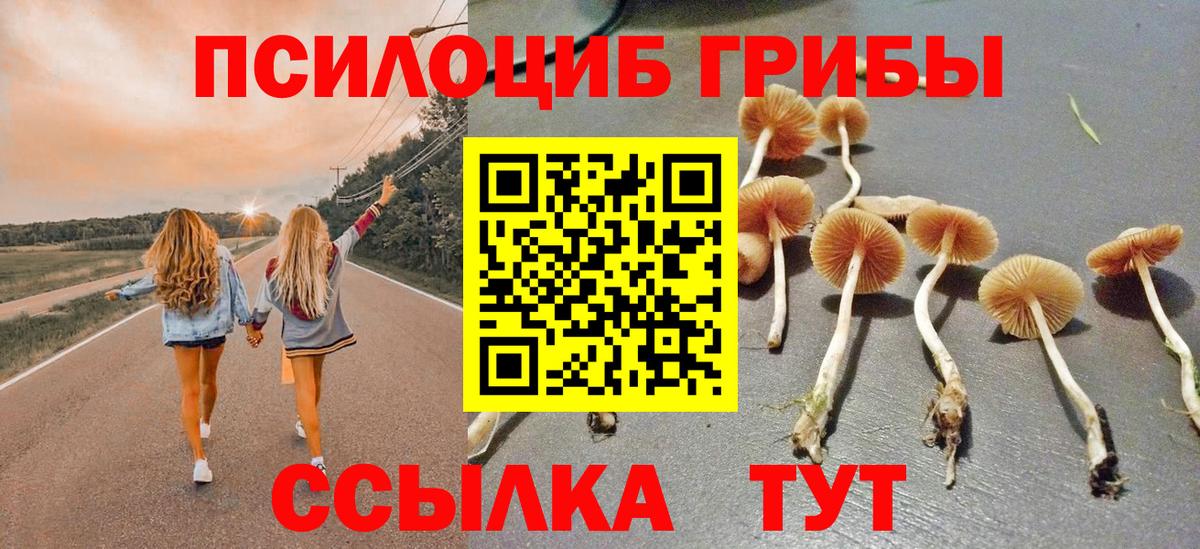 Галлюциногенные грибы ЛСД Благодарный