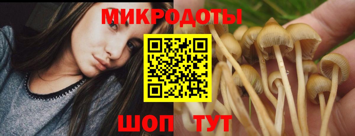 Благодарный  Псилоцибиновые грибы MAGIC MUSHROOMS  Вход с VPN  Псилоцибиновые грибы Psilocybine cubensis 